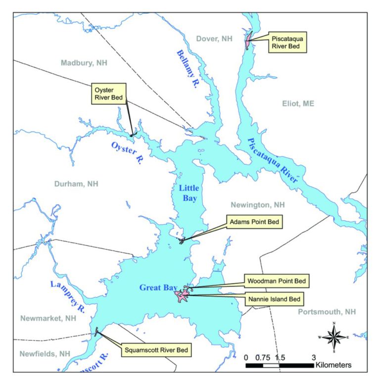 State of Our Estuaries Indicators Oysters