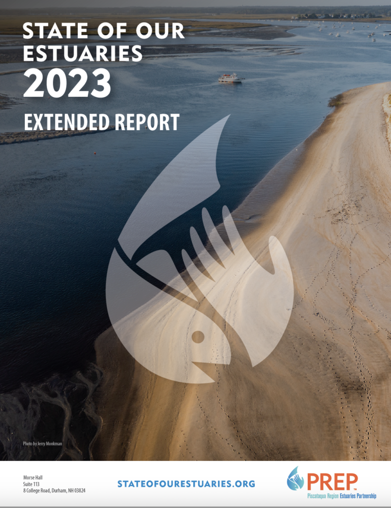 Extended Report cover.